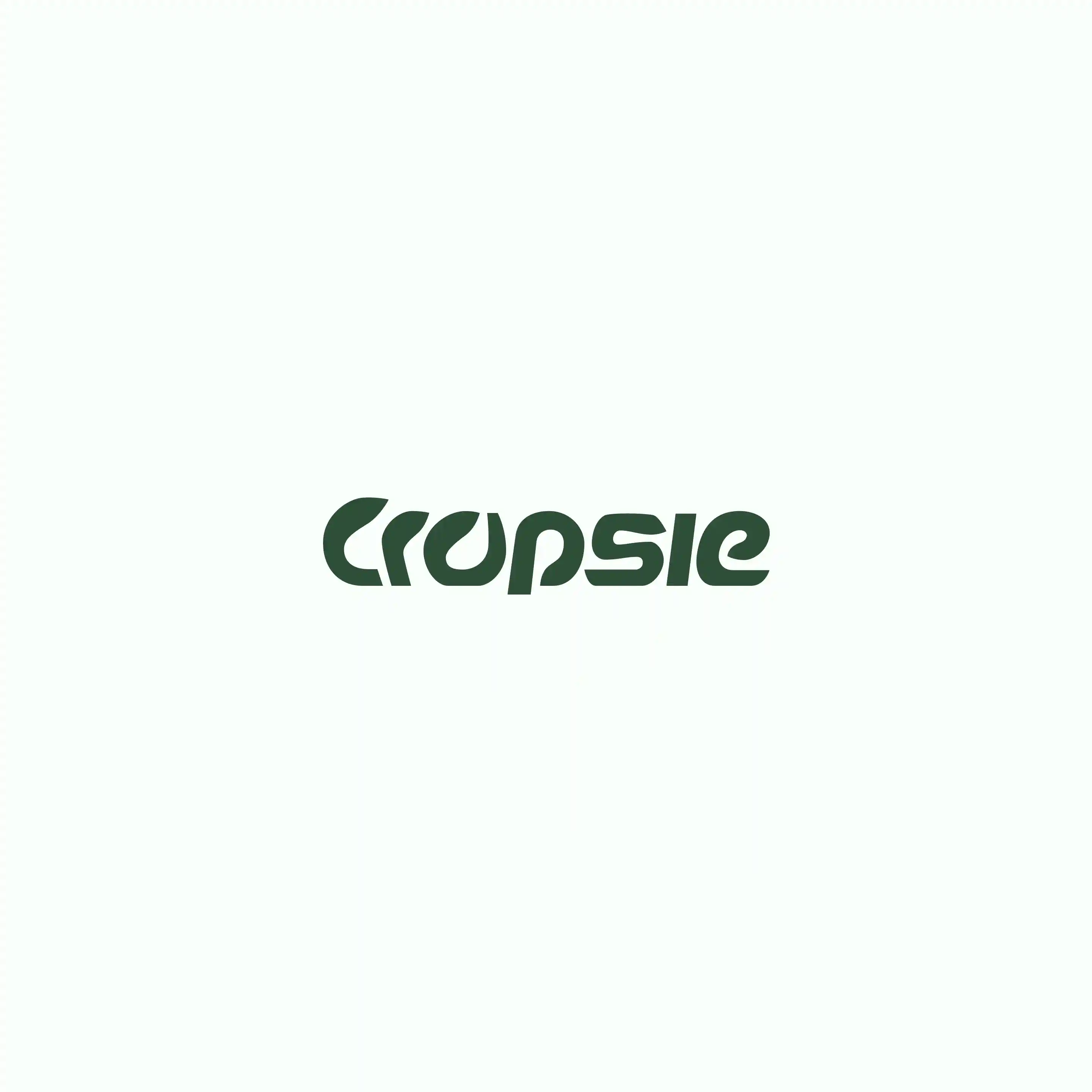 Cropsie — international rebrand decision featured image
