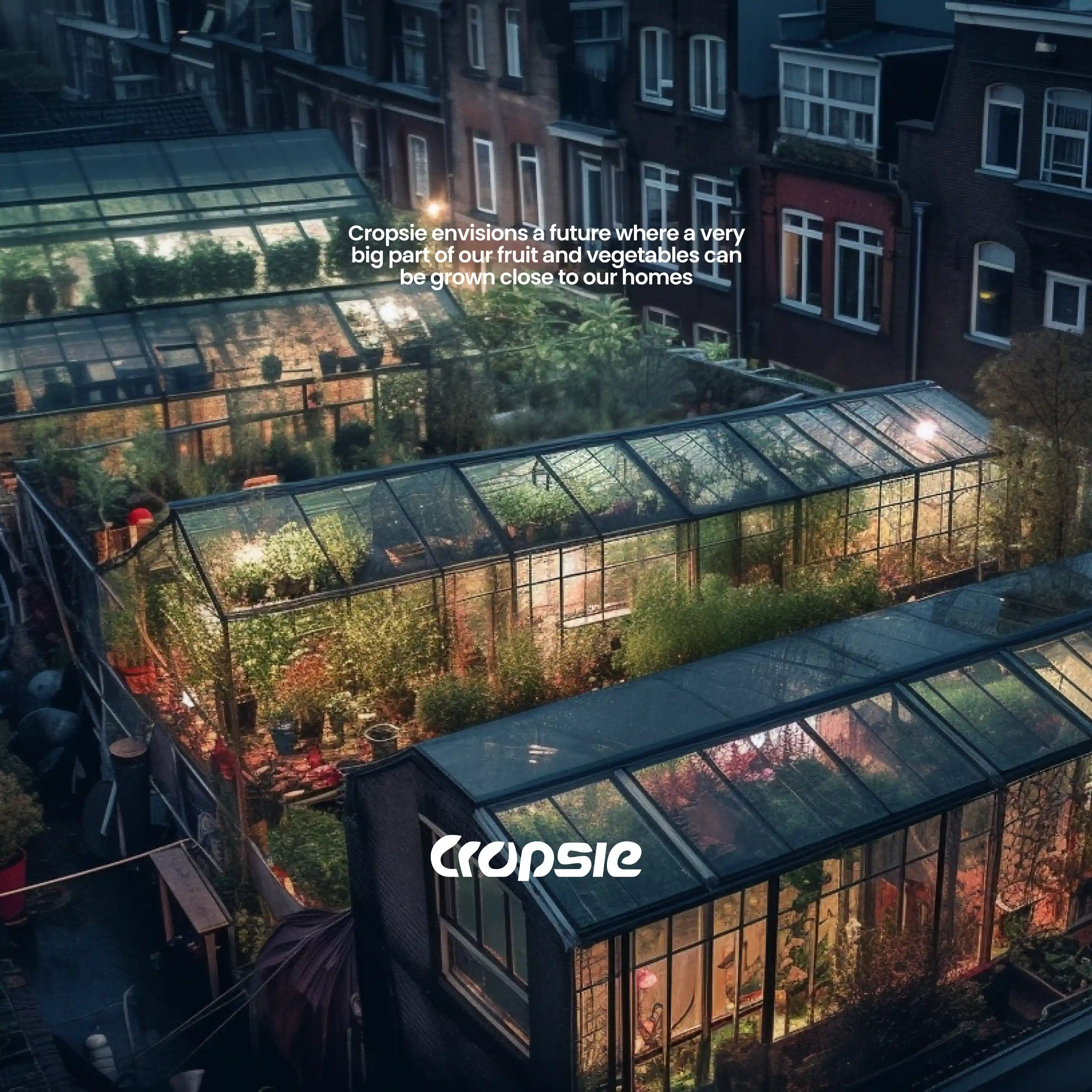 Cropsie Vision